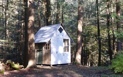 Door House Project