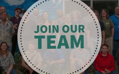 Job Posting: Workforce Coordinator